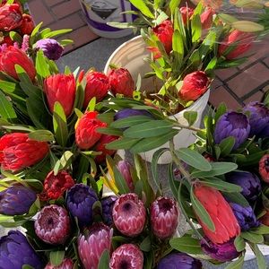 Meet your Posher, Maria